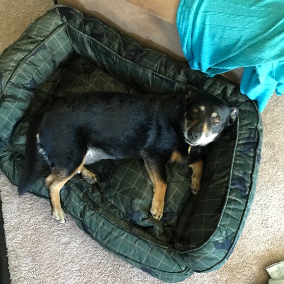 Welcome, Mika!! - Picture 8 of 8